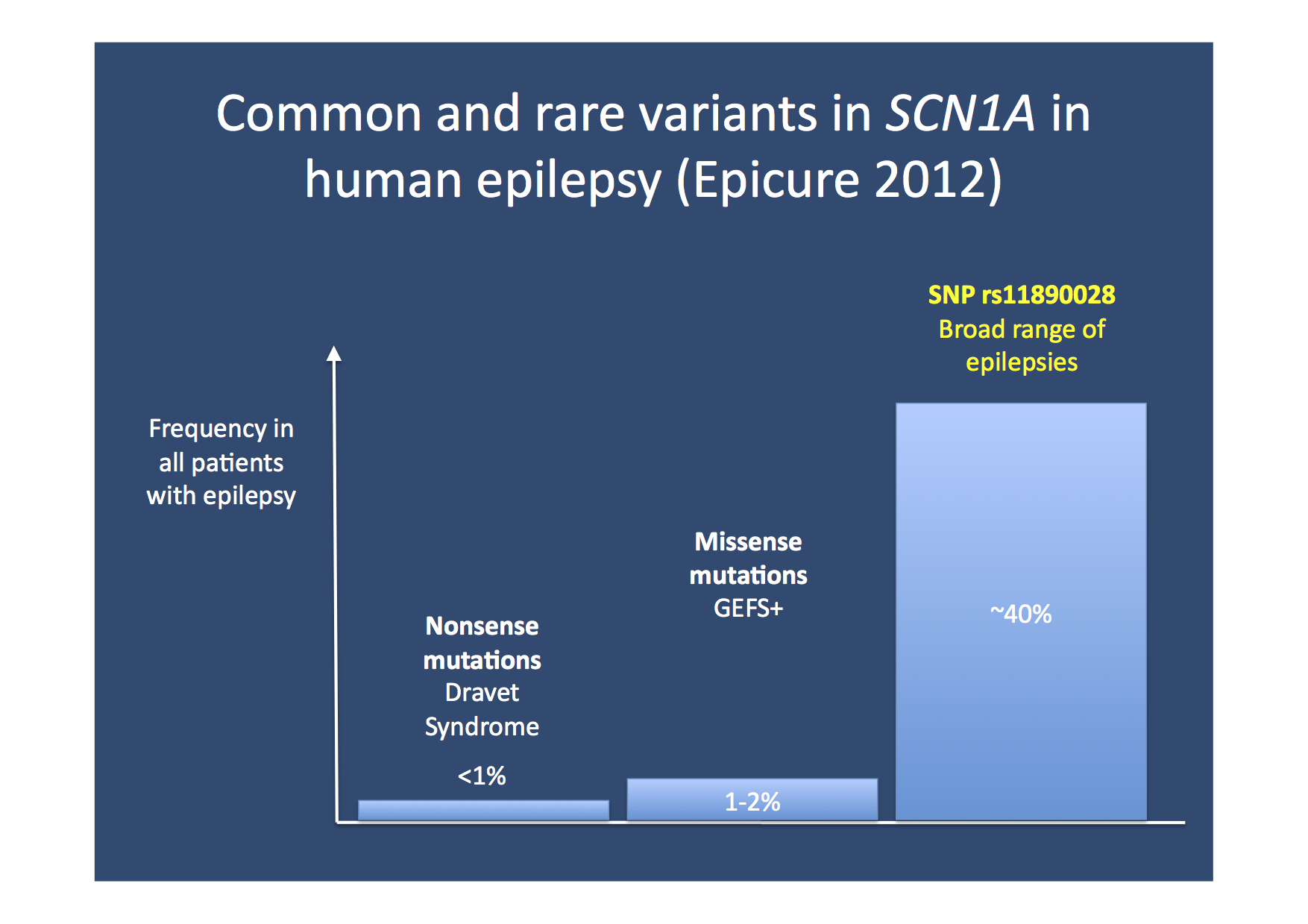 In defence of common variants. The recent EPICURE GWAS identified an intergenic variant in proximity of SCN1A as a common risk factor for a wide range of epilepsies. Even though rare, highly penetrant variants in SCN1A causing Dravet Syndrome receive most of the attention, common variants have a strong impact on the population level. Despite the fact that common variants are also present in a large proportion of unaffected individuals, the population-attributable risk of common risk factors is probably higher than the cumulative impact of mutations causing Dravet Syndrome or GEFS+. 