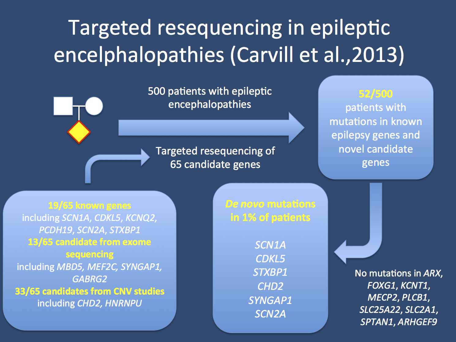 Less is more – gene identification in epileptic encephalopathies ...