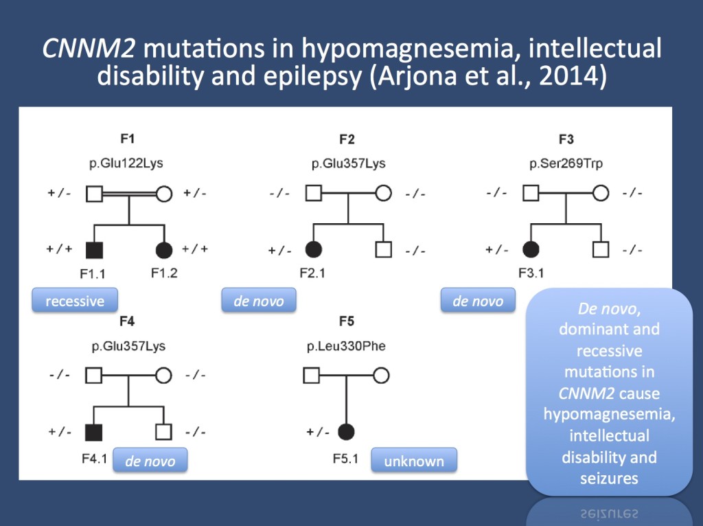 Pedigrees of the families with mutations in CNNM2. Image reproduces under a Creative Commons License from www.plosgenetics.org/article/info%3Adoi%2F10.1371%2Fjournal.pgen.1004267