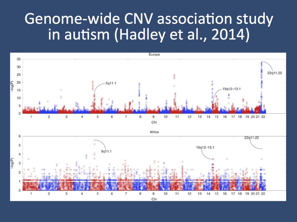 The study by Hadley and collaborators also included a genome-wide CNV association study in of 4,634 cases versus 4,726 controls in Europeans and of 312 cases versus 4,173 controls in Africans. They identify three already known chromosomal regions including copy number variants at 22q11.22, 15q12-13.1, and 5q11.1. They go on to use the CNV data for a gene family interaction network (GFIN) analysis. (reproduced under a Creative Commons License from http://www.nature.com/ncomms/2014/140606/ncomms5074/full/ncomms5074.html)
