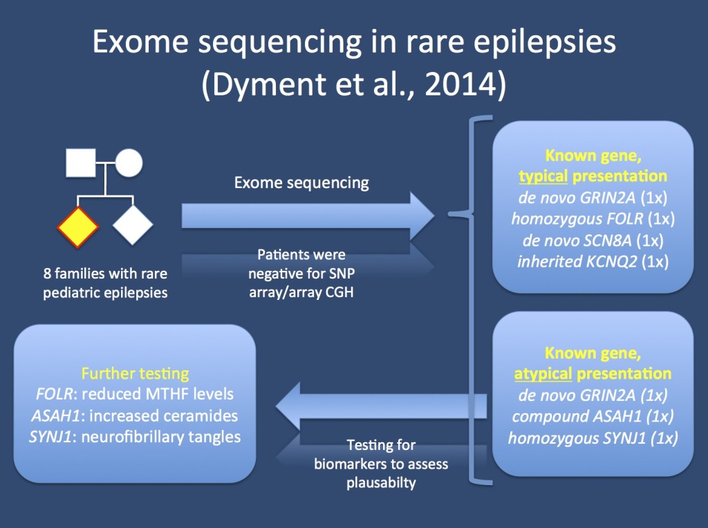 Study by Dyment and collaborators, which aims to assess the genetic basis in 8 families with presumably genetic epilepsies. 