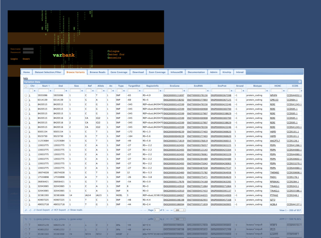 A Varbank screenshot taken from our Kiel Varbank account. Varbank is the exome database of the Cologne Center of Genomics (CCG) that is accessible on a collaborative research basis. Holger Thiele, the Varbank mastermind, has implemented useful tools to mine exome data in various ways. 