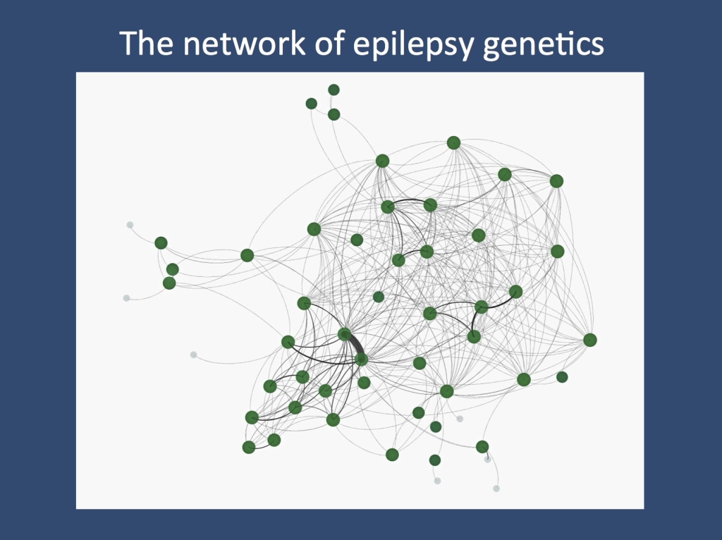 The network of epilepsy genetics. Dan Lowenstein had put together a network of 68 participants of the Half Moon Bay workshop, highlighting joint publications among individuals. The lines represent publications with joint authorships, demonstrating that the epilepsy genetics community is a highly connected and interactive group. 