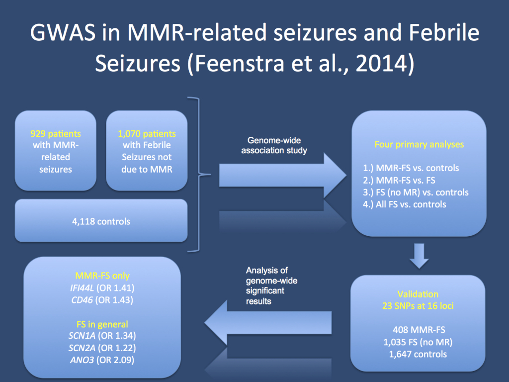The study by Feenstra and collaborators. The authors investigate patients with Febrile Seizures in the setting of MMR vaccination (MMR-FS) and Febrile Seizures without prior vaccination. Their study has a discovery and validation cohort. The genes that survived the strict correction for genome-wide significance included IFI44L, CD56, SCN2A, SCN1A and ANO3. 