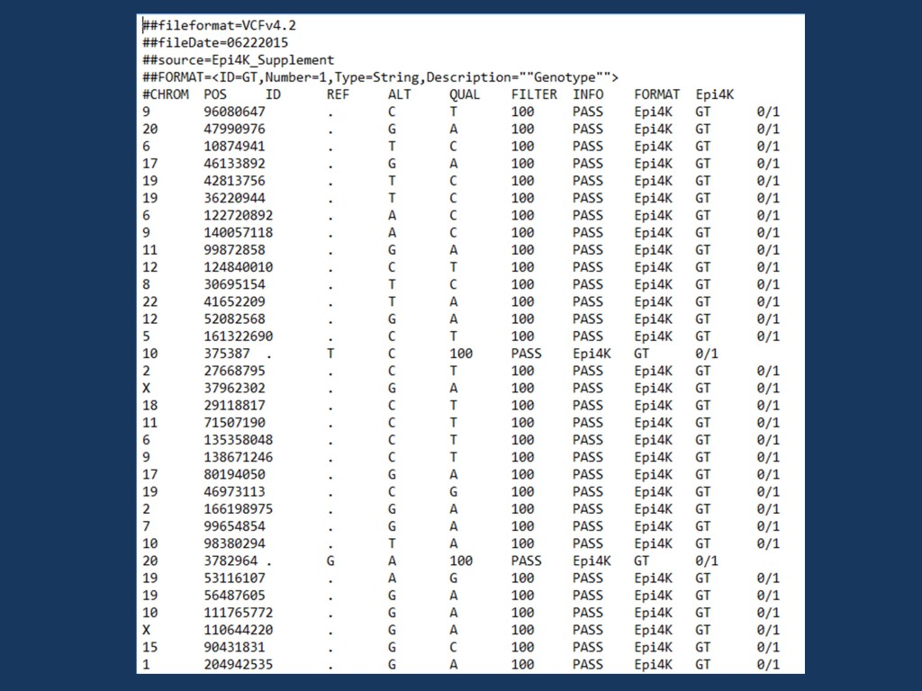 A VCF file with the de novo mutations found in the Epi4K publication