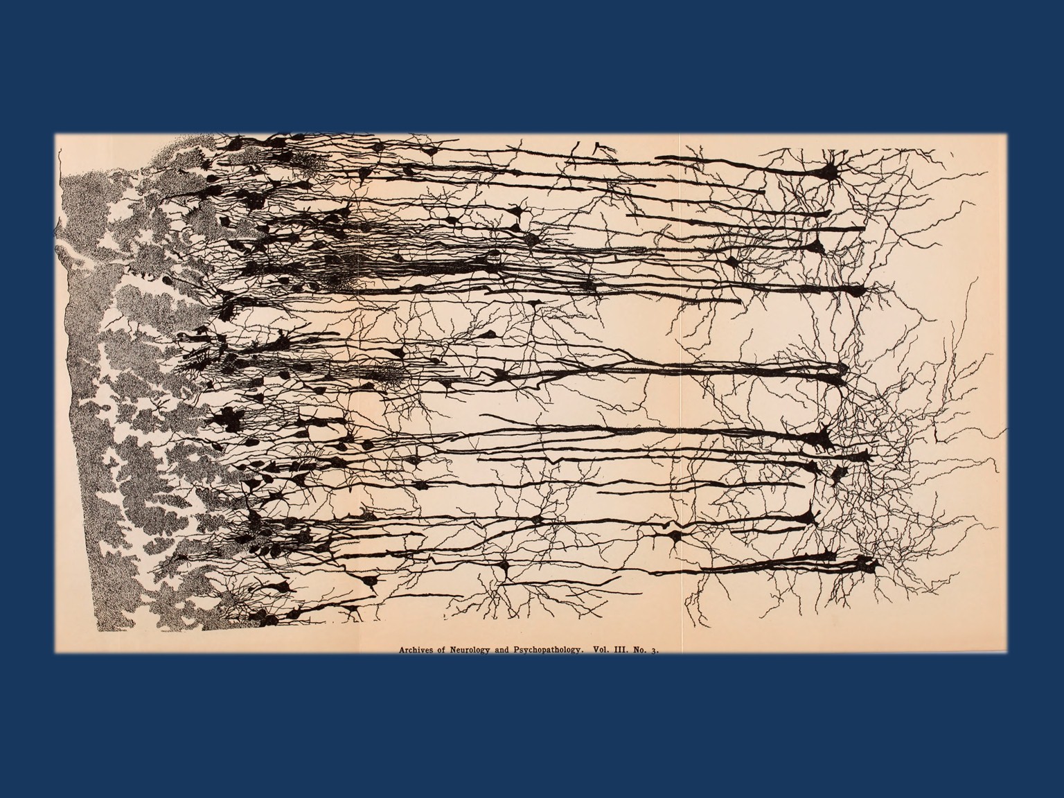 Image from page 346 of "Archives of neurology and psychopathology." (1900) From Internet Archive Book Images on Flickr (https://www.flickr.com/photos/internetarchivebookimages)