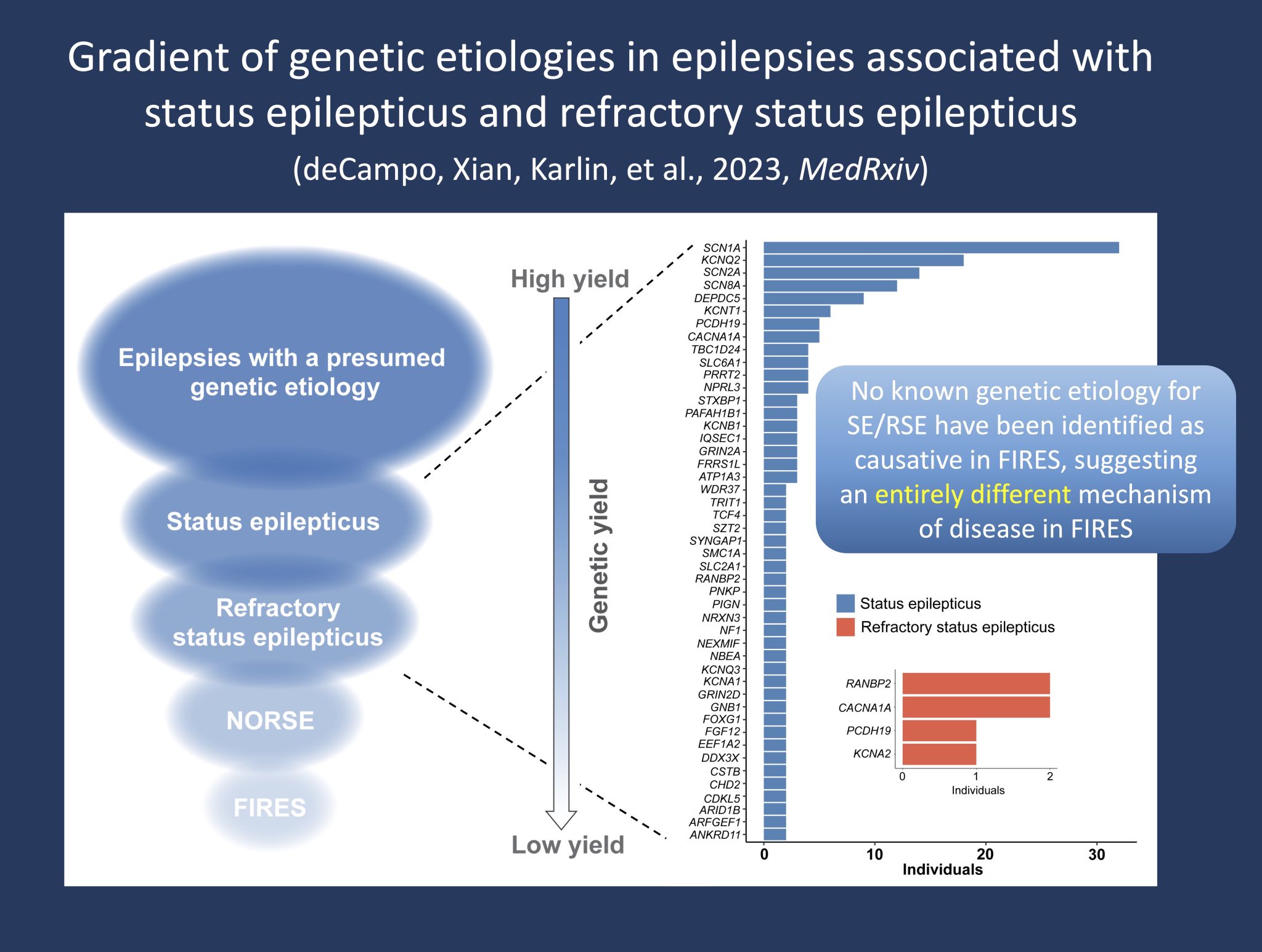 The genetics of FIRES and status epilepticus in 2023 | Beyond the Ion ...